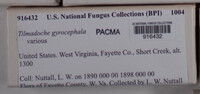Image Associated With the Occurence
